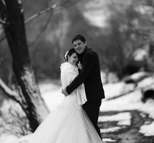 Family Arkan * Trigrad