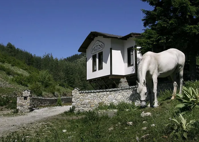 Family Arkan * Trigrad